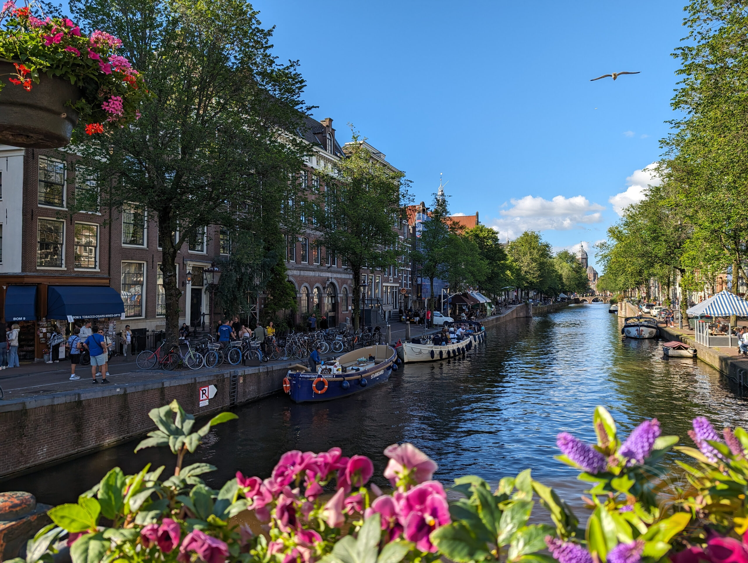 Amsterdam canal lined with historic houses, boats and trees, with colourful flowers in the foreground.