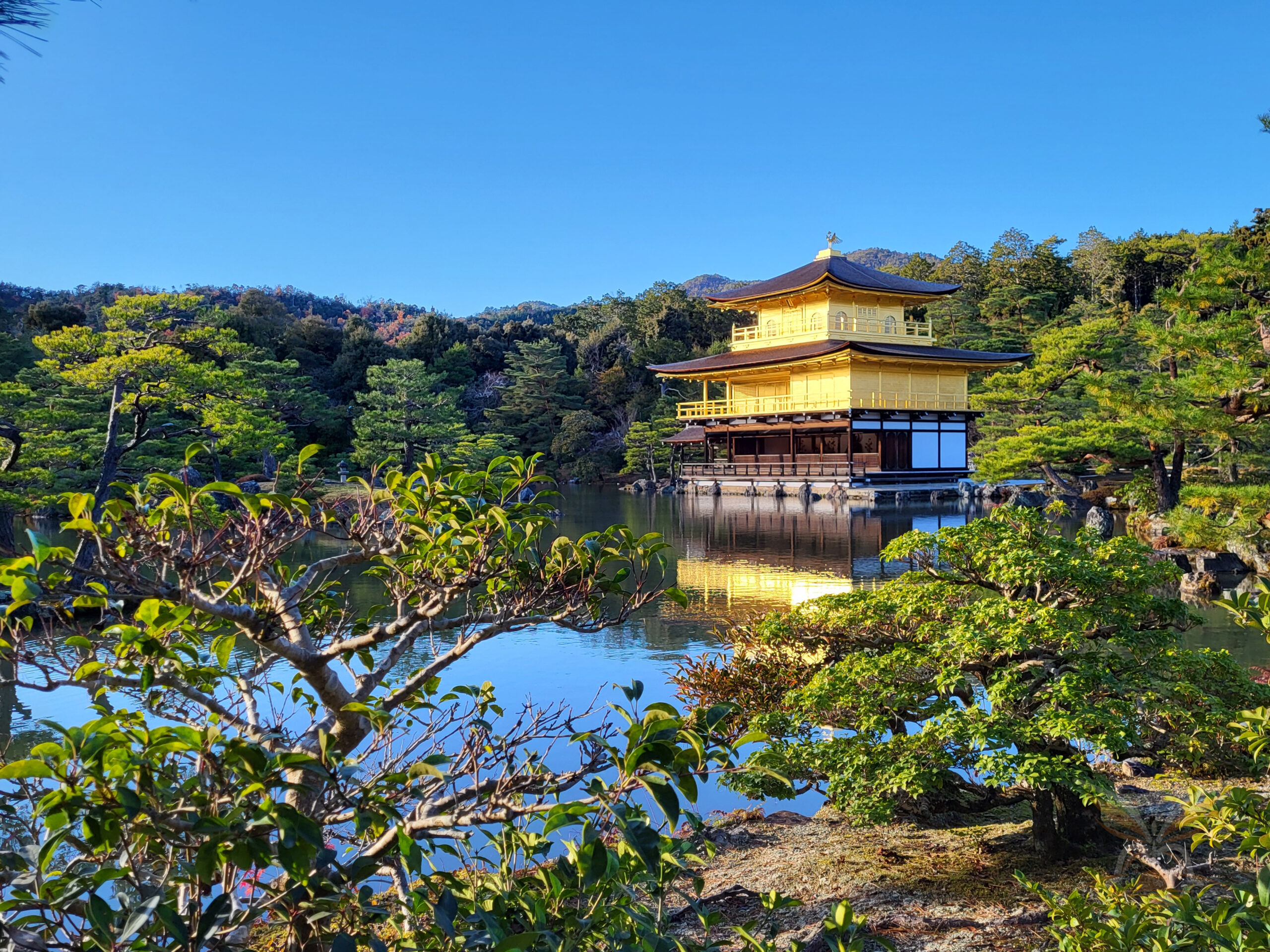 Golden Pavilion of Kinkaku-ji beside a reflective pond under a clear blue sky in Kyoto, Japan.