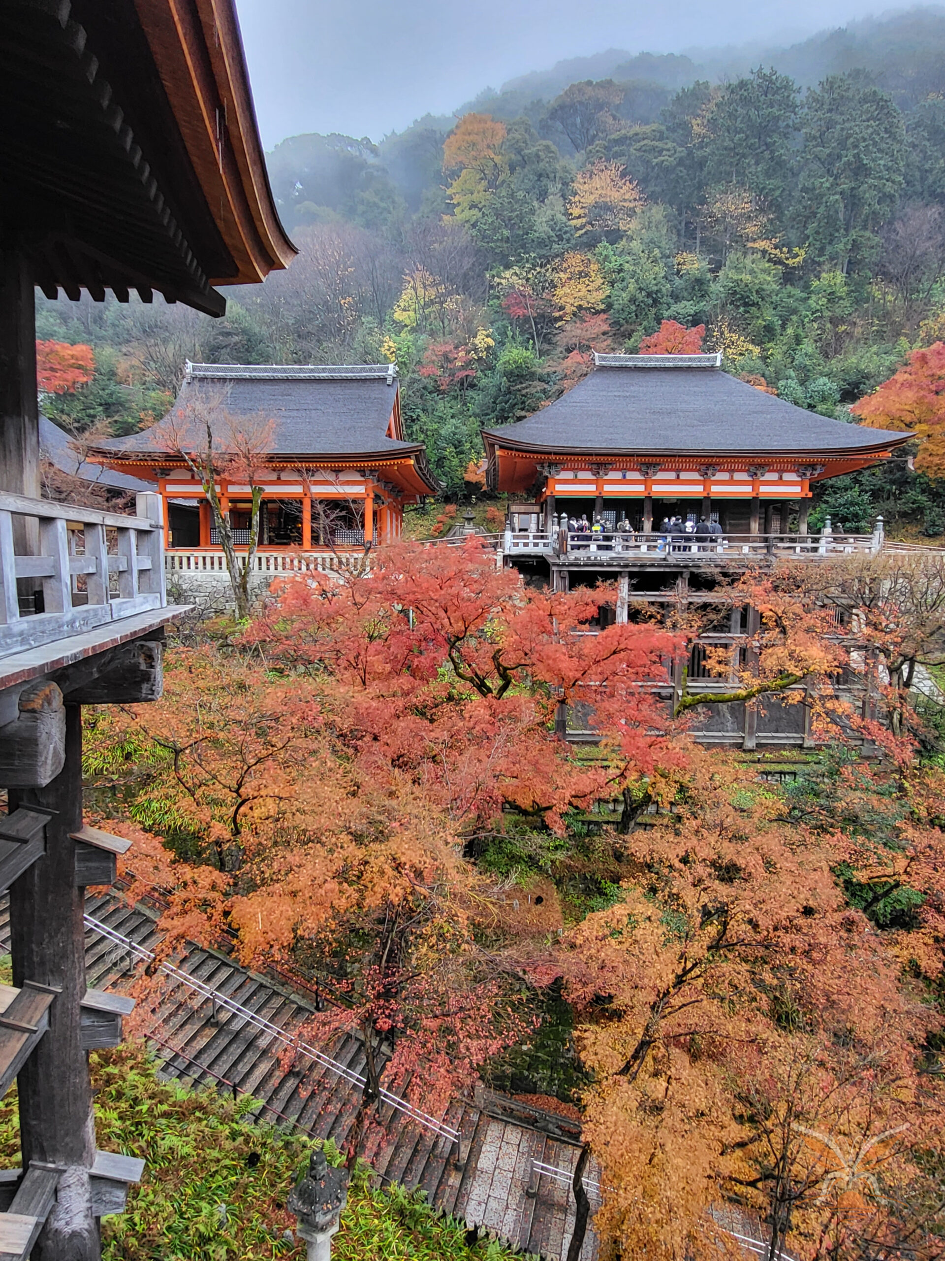 Kiyomizu-dera temple rising through orange autumn foliage in Kyoto, Japan.