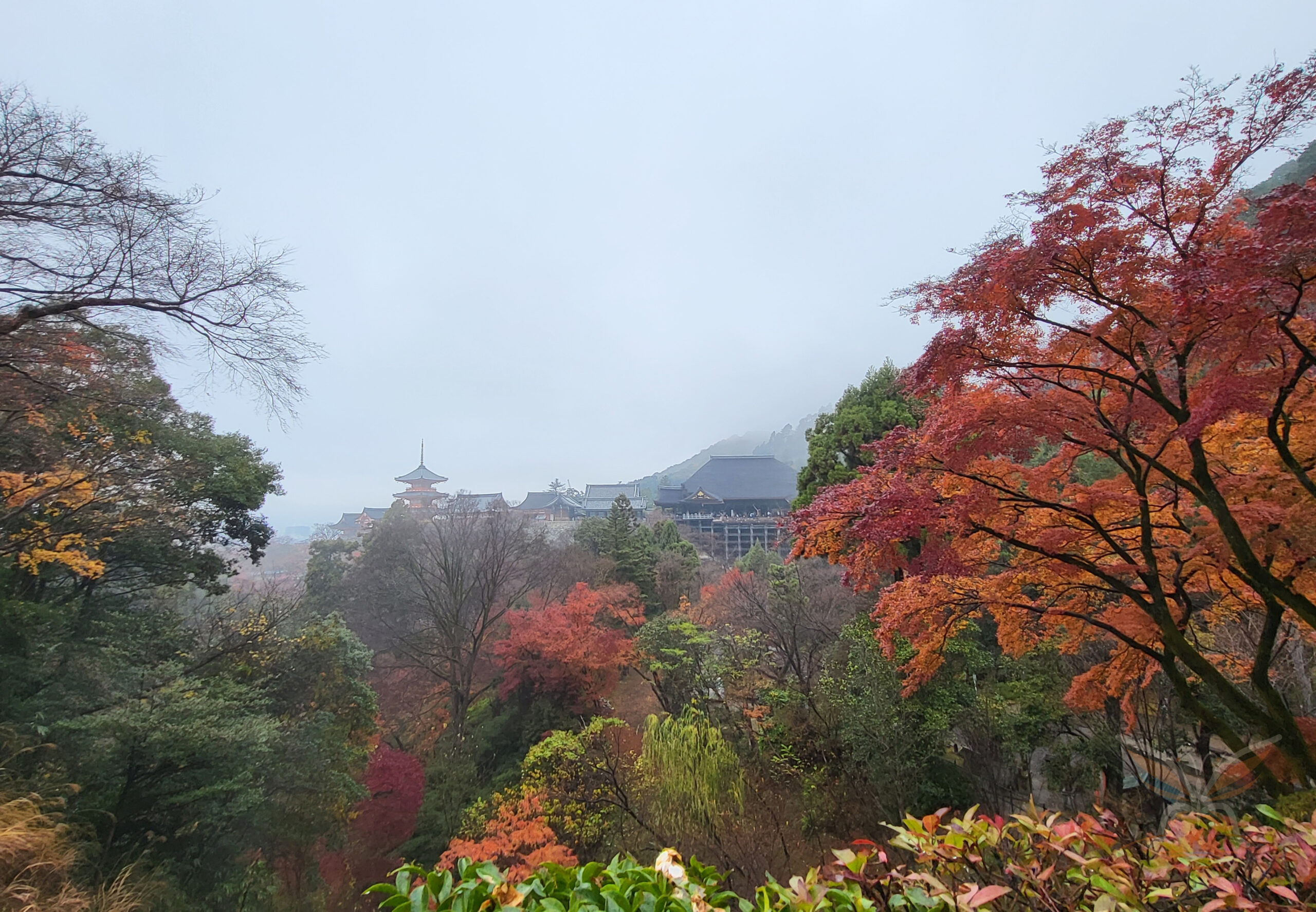 Red and orange maple trees framing the temple landscape at Kiyomizu-dera in Kyoto, Japan.