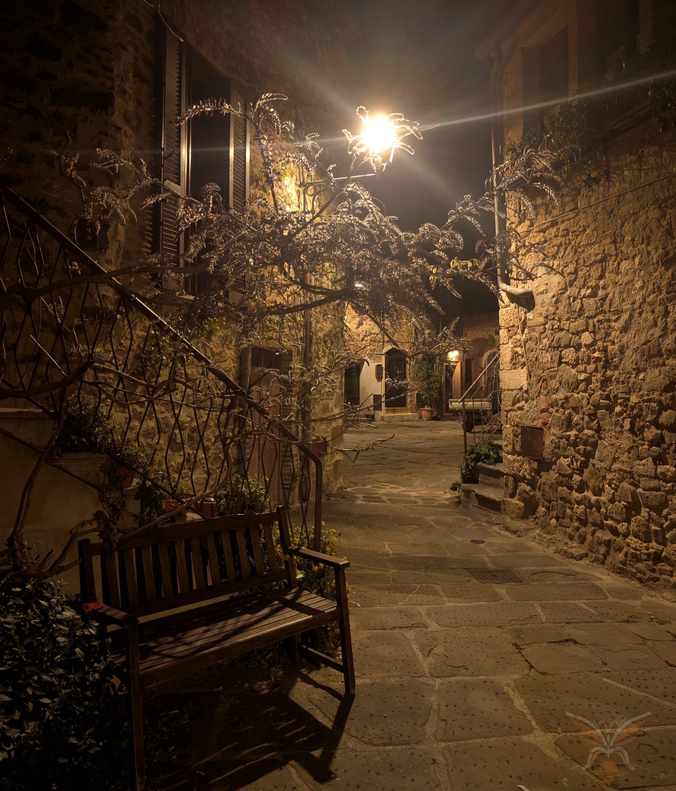Stone houses, climbing plants and a bench illuminated by warm lamplight in Montemerano at night.