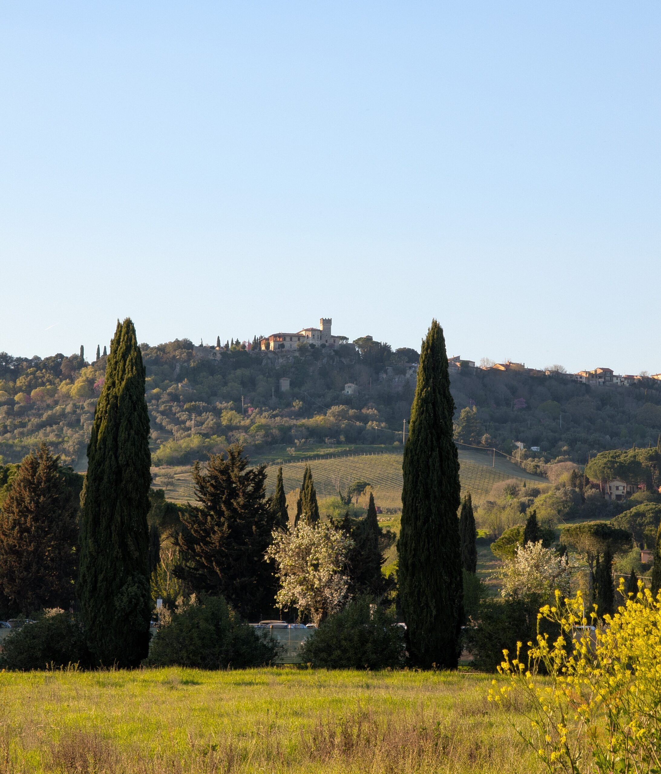 Cypress trees and spring flowers framing the hilltop village of Saturnia in Tuscany.