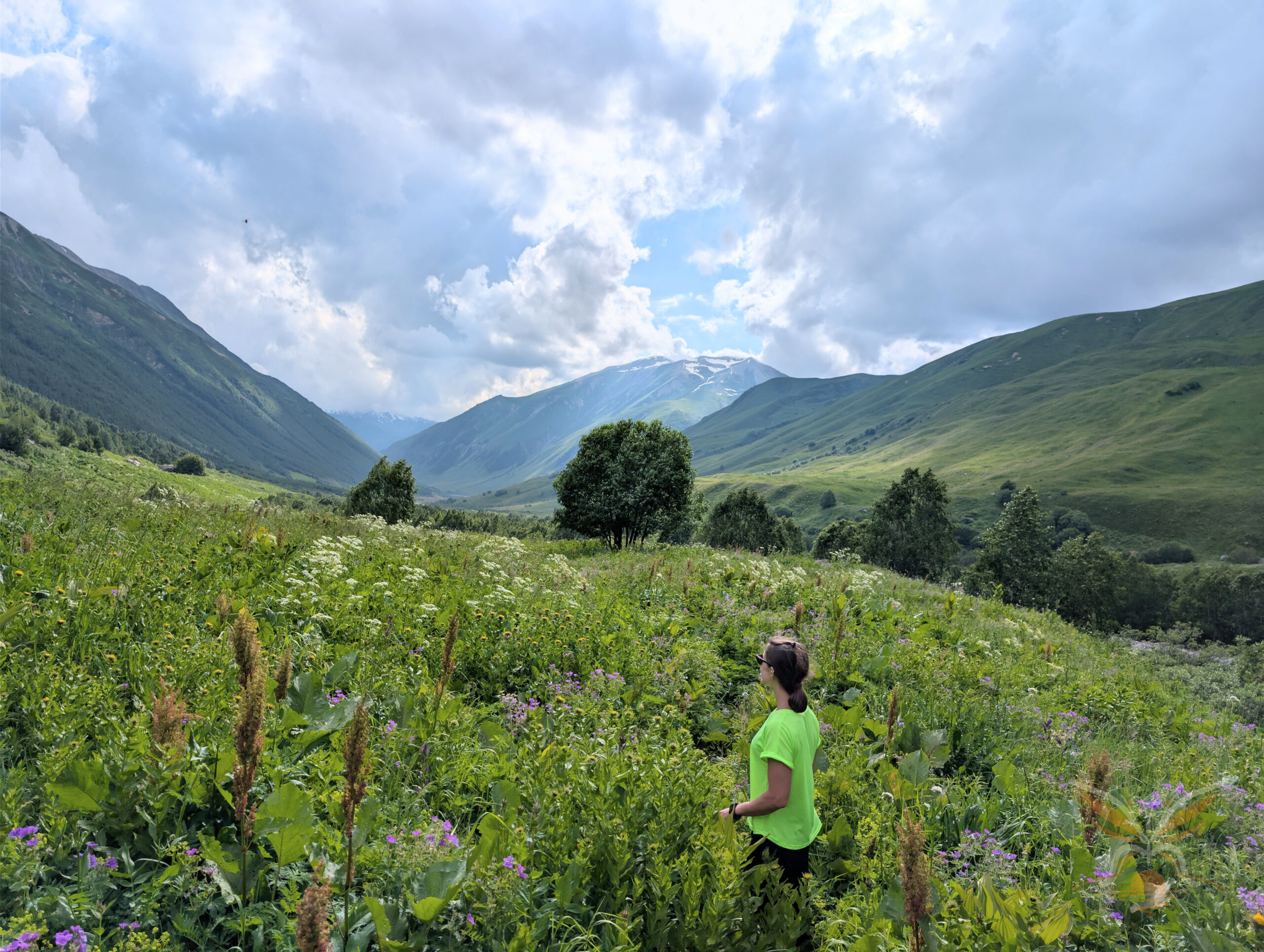 Traveller walking through a wildflower meadow in the Shkhara valley beneath cloud-covered Caucasus peaks.