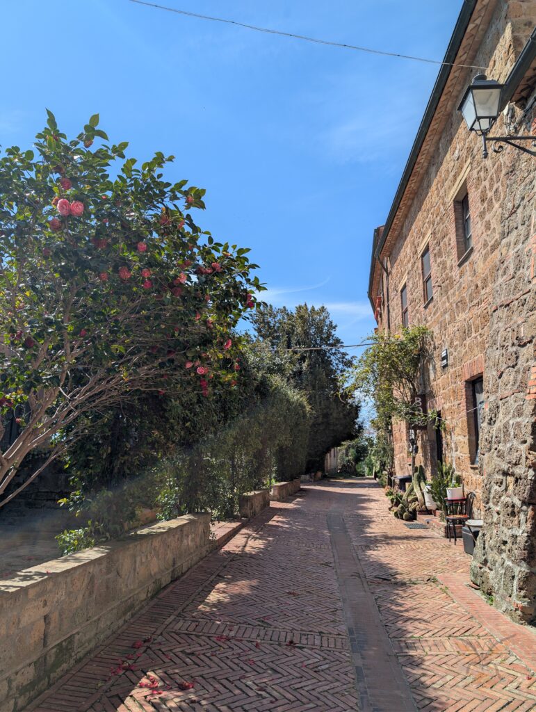 Narrow brick-paved lane between stone houses and flowering plants in Sovana, Tuscany.