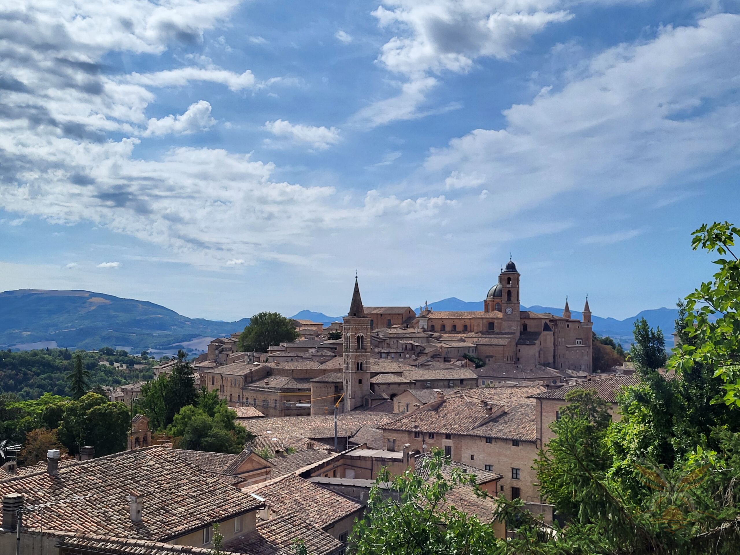 Panoramic view of Urbino’s historic centre, tiled rooftops and Renaissance skyline beneath a blue sky.