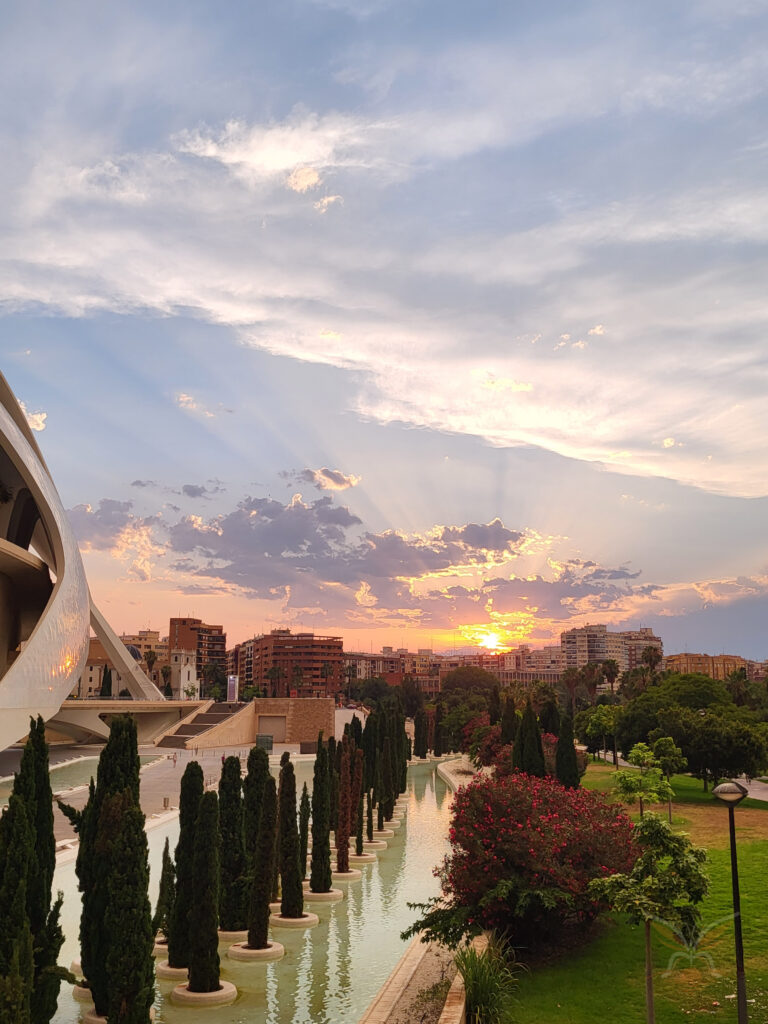 Sunset over a landscaped city park with cypress trees, water and modern buildings, Valencia.